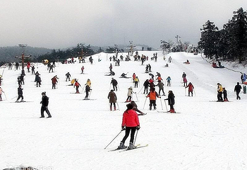 商量岗滑雪场第 5 张图片