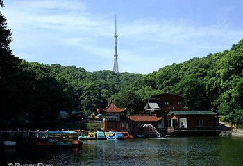 金鄂山公园第 3 张图片