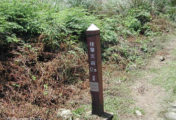 擎天岗第 12 张图片