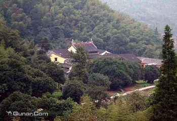 香林花雨第 4 张图片