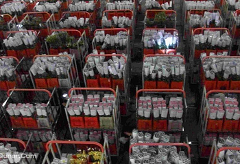 昆明斗南花卉市场第 25 张图片
