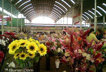 昆明斗南花卉市场第 28 张图片