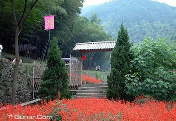 香林花雨第 2 张图片