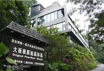 大板根森林第 5 张图片