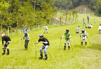 指岩滑草场第 4 张图片