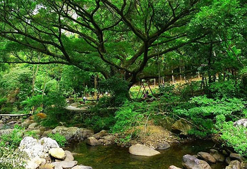 石门森林公园第 5 张图片
