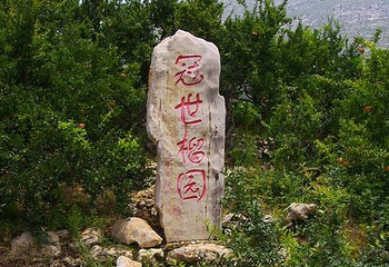 冠世榴园青檀景区第 13 张图片