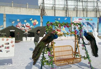 二宫滑雪场第 4 张图片