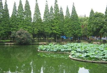 衡阳西湖水上乐园第 3 张图片
