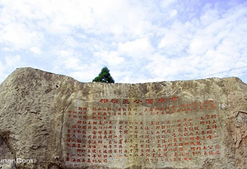 柳杉王公园第 6 张图片