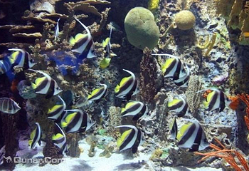 盐城海昌海洋探索馆第 3 张图片