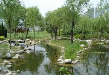 郑东新区湿地公园第 4 张图片