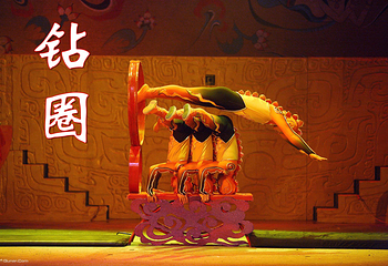 朝阳剧场杂技第 13 张图片
