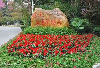 荔林公园第 3 张图片