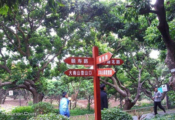 荔林公园第 5 张图片
