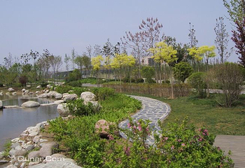 郑东新区湿地公园第 3 张图片