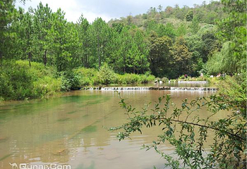 拉市海茶马古道第 7 张图片