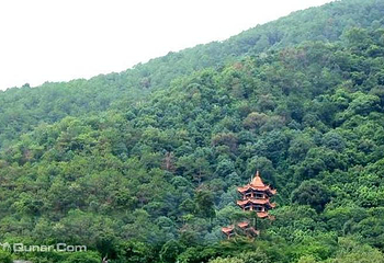 泸山第 8 张图片