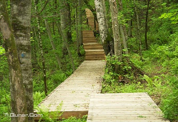 凉水自然保护区第 3 张图片
