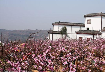 桃花故里景区第 6 张图片