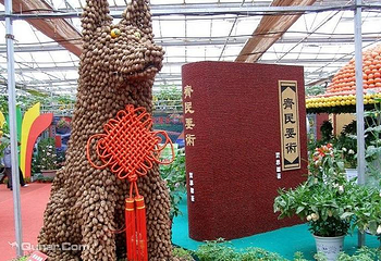 寿光蔬菜高科技示范园第 17 张图片