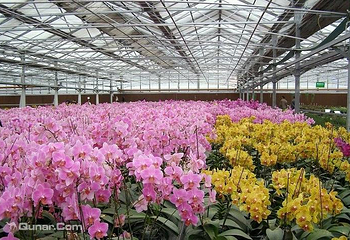 寿光蔬菜高科技示范园第 19 张图片