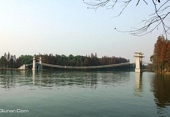 东湖落雁景区第 8 张图片