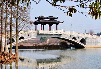 东湖落雁景区第 12 张图片