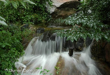 藤龙山风景区第 12 张图片