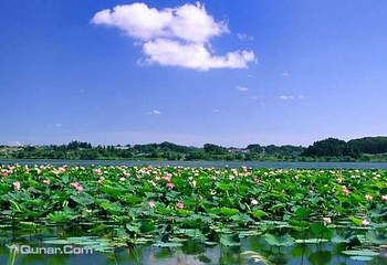 东平湖风景名胜区第 10 张图片