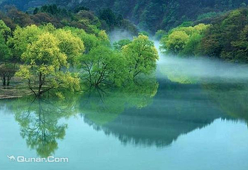 陇南阳坝梅园沟第 10 张图片