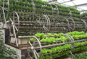 寿光市生态农业观光园第 5 张图片