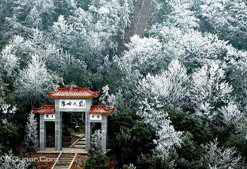 阳明山国家森林公园第 26 张图片