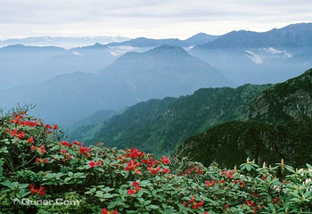 太阳湾风景区第 40 张图片