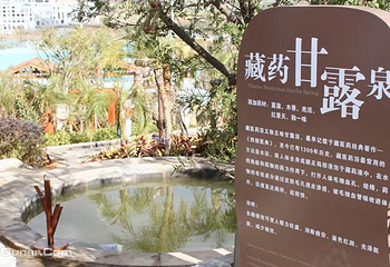 华侨城温泉水公园第 14 张图片