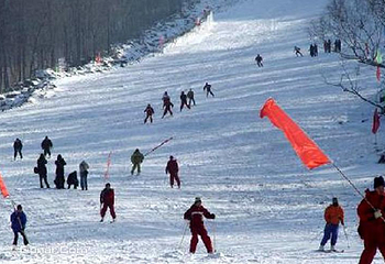 玉泉秋林山庄滑雪场第 3 张图片