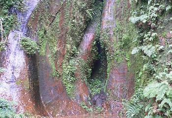 赤水丹霞旅游区·燕子岩第 13 张图片