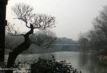 彭祖园第 18 张图片
