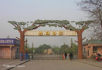 太原市森林公园第 3 张图片