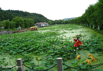 北山公园第 26 张图片