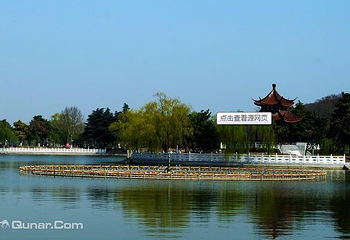 龙湖公园第 11 张图片