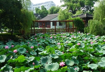 方塔园第 10 张图片