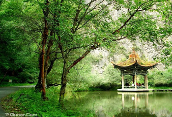 吐鲁沟国家森林公园第 8 张图片
