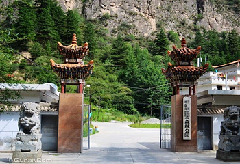 吐鲁沟国家森林公园第 7 张图片