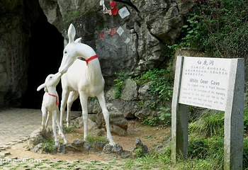 苏仙岭第 12 张图片