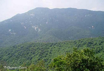 圭峰山国家森林公园第 8 张图片
