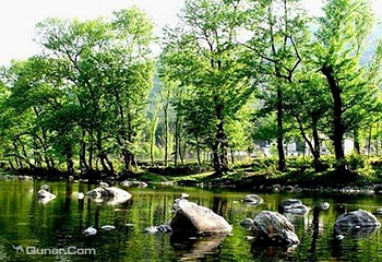 阳坝自然风景区第 15 张图片