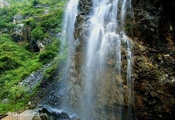 阳坝自然风景区第 14 张图片