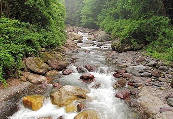 黑竹沟风景名胜区第 33 张图片