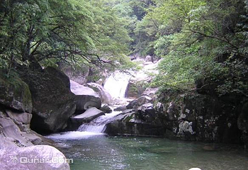 森林水世界第 2 张图片
